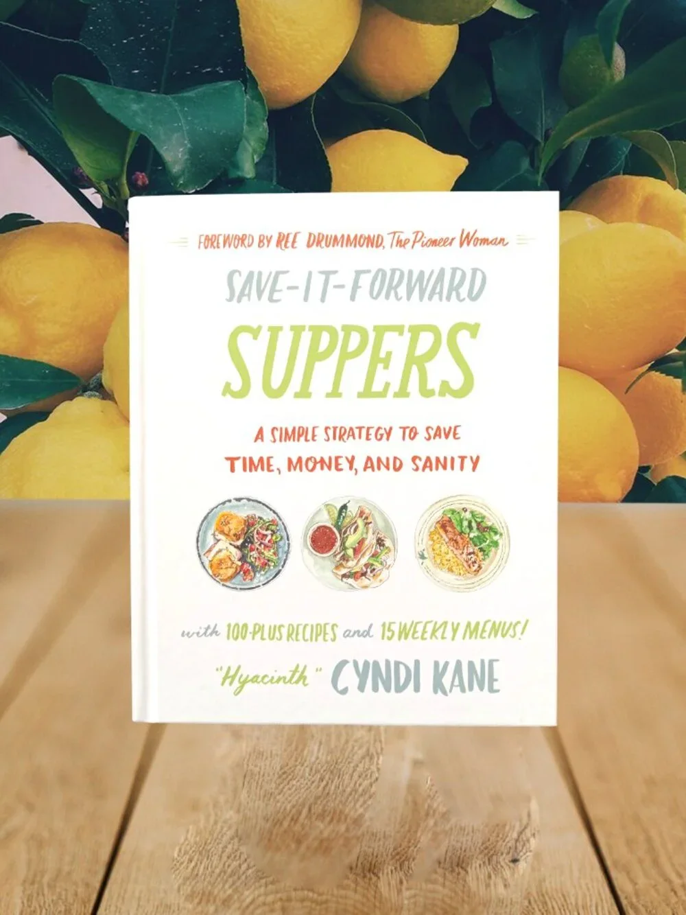 Save-It-Forward Suppers by Cyndi Kane NEW